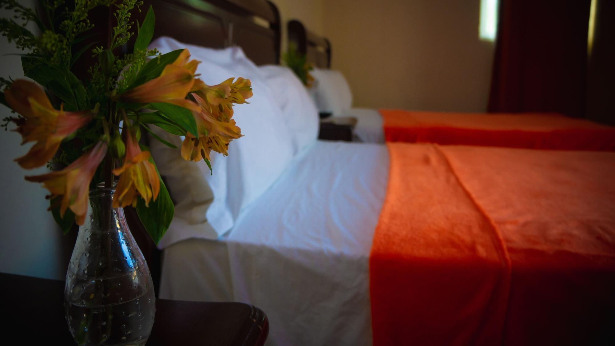 Hotel Luis V سانتو دومينجو المظهر الخارجي الصورة